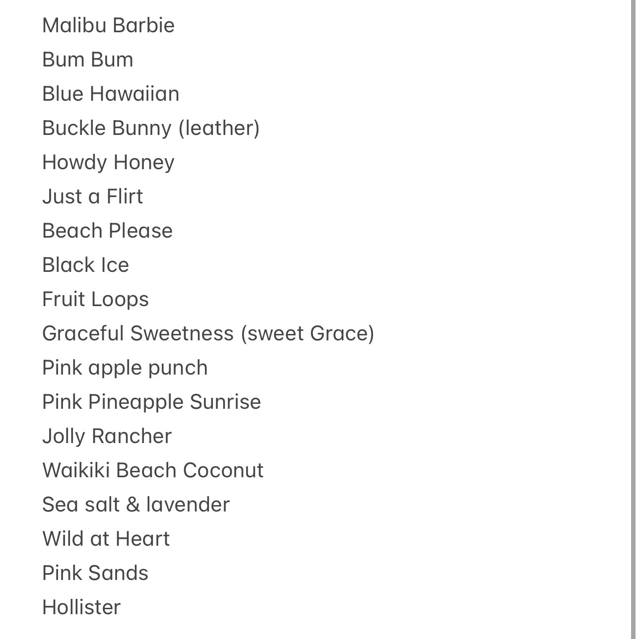 Cheetah Large Bull Freshie